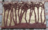 m2.jpg